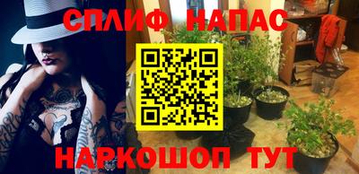 эйфоретик Пушкино
